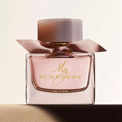 burberry cinnamon|Burberry woman perfume for women.